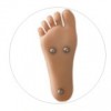 Stand-Up Feet  + $50.00 