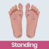 Standing Feet  + $50.00 