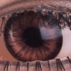 Brown Cat Eyes 