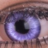 Mechanical Purple Eyes  + $45.00 