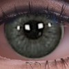 Grey Eyes 